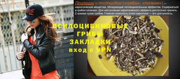 дмт Армянск