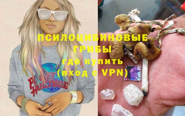 амф Аркадак
