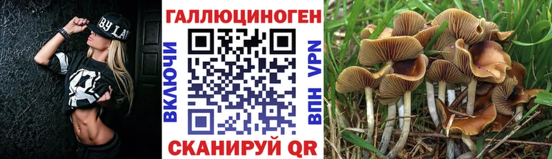 Галлюциногенные грибы Magic Shrooms  закладка  Сатка 